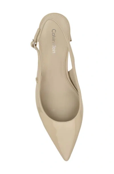 Calvin Klein Sarra Slingback Pointed Toe Pump In Multi