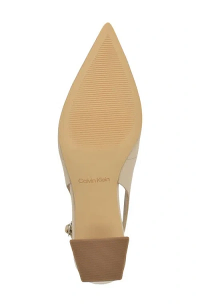 Calvin Klein Sarra Slingback Pointed Toe Pump In Multi