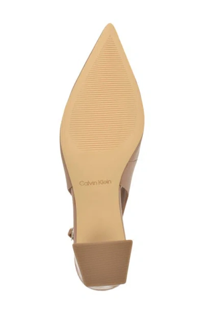 Calvin Klein Sarra Slingback Pointed Toe Pump In Multi
