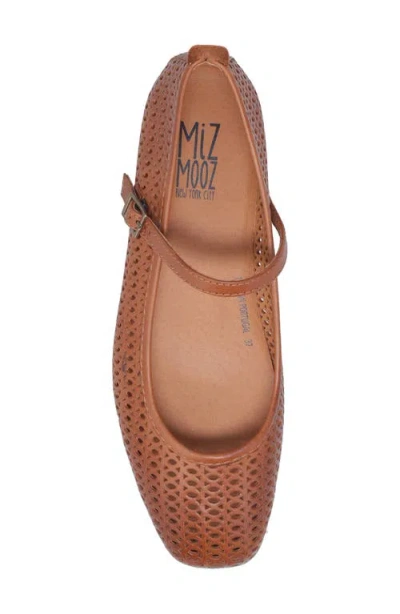 Miz Mooz Zaylee Mary Jane In Brown