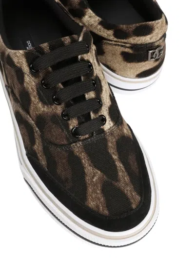 Dolce & Gabbana Leonew Sneaker In Animal Print