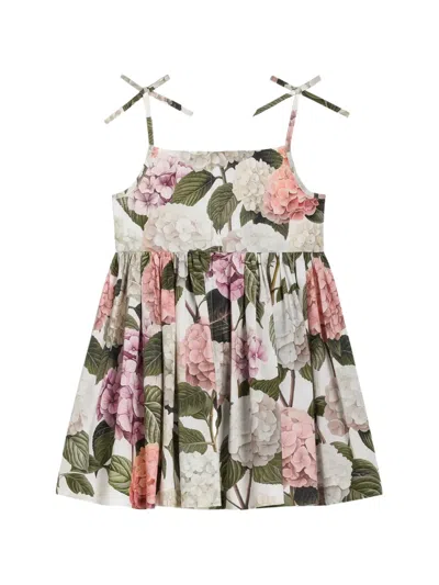 Dolce & Gabbana Hydrangea-print Poplin Dress In Multi