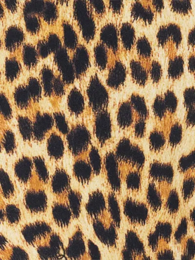 Roberto Cavalli Baby Jaguar Print One-piece Swimsuit In Multi