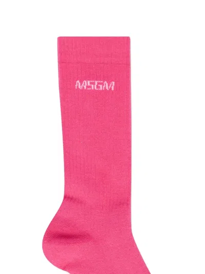 Msgm Logo Socks In Pink