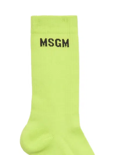 Msgm Logo Socks In Green