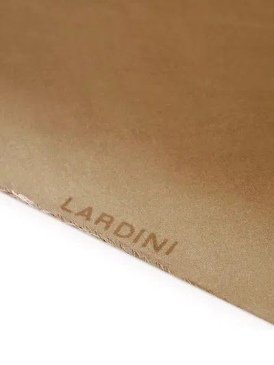 Lardini Cotton And Silk Scarf In Brown