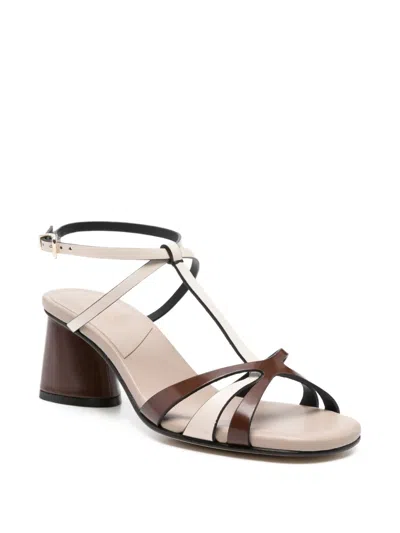 Donnari Strappy Leather Sandals In Brown