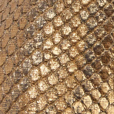 Roberto Cavalli Mules With Gold Python Snake Motif In Gold