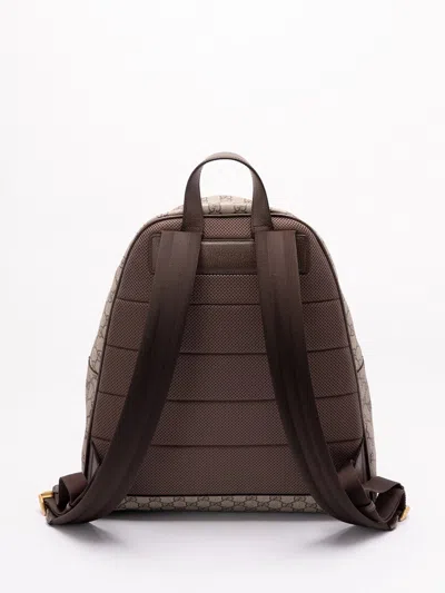 Gucci `ophidia` Medium Backpack In Brown