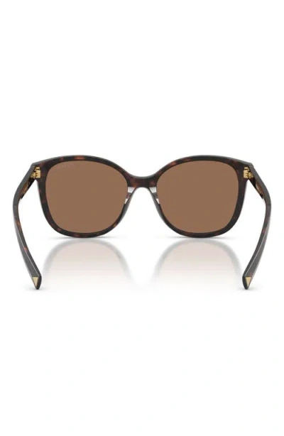 Prada 53mm Gradient Square Sunglasses In Brown