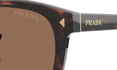 Prada 53mm Gradient Square Sunglasses In Brown