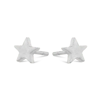 7879 Star Stud Earrings In Silver