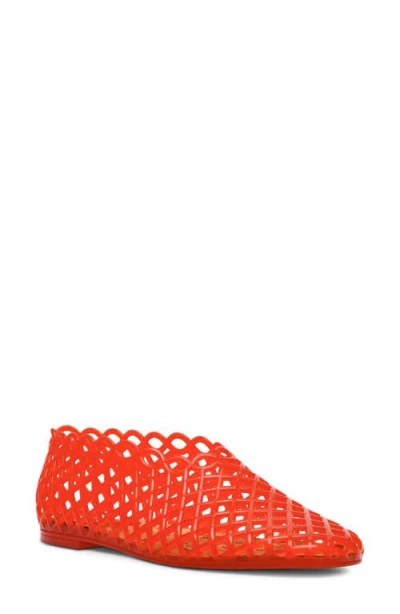 Steve Madden Grove Jelly Flat In Multi