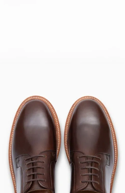 Grant Stone Plain Toe In Brown