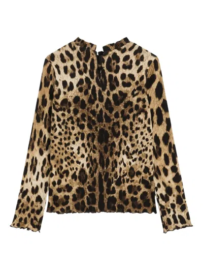 Dolce & Gabbana Leopard-pattern Top In Multi