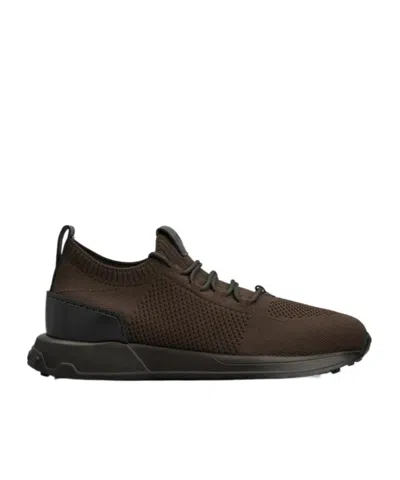 Tod's Low-top Lace-up Sneakers In Multi