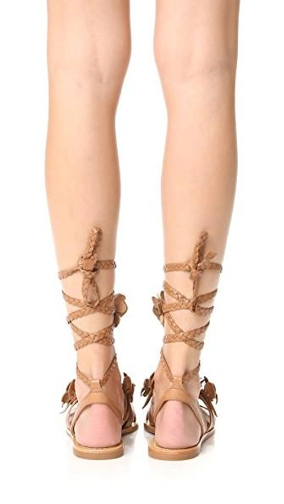 Shop Tory Burch Blossom Gladiator Sandals In Royal Tan