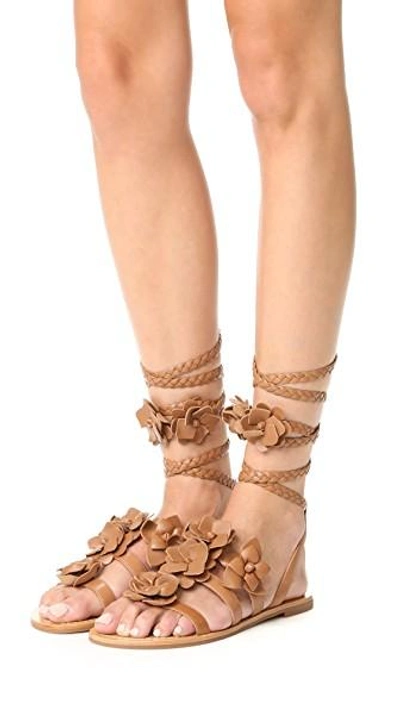 Shop Tory Burch Blossom Gladiator Sandals In Royal Tan