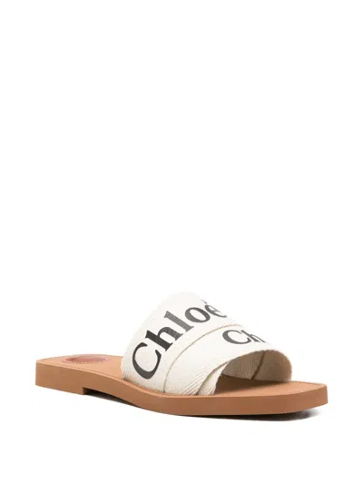 Chloé Burberry Multicolor Suede And Leather Sneakers In White