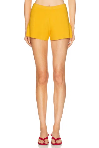 Cult Gaia Ace Short In Multi