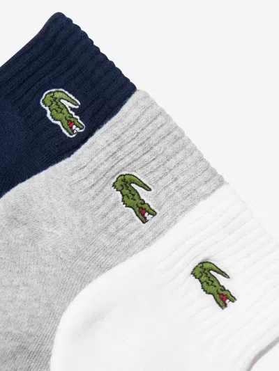 Lacoste Baby 6 Pack Socks Set In Multi