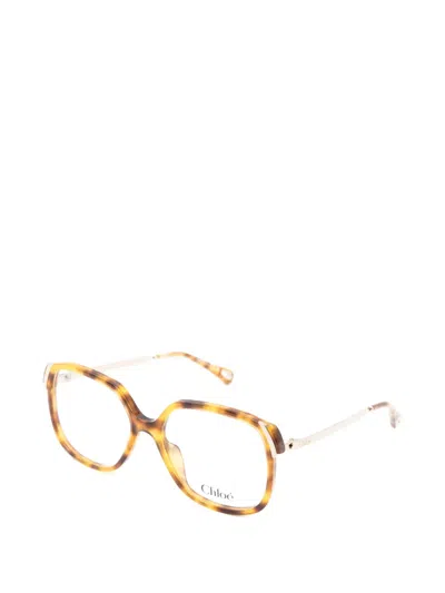 Chloé Geometric-frame Glasses In Brown