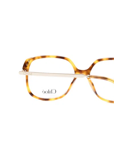 Chloé Geometric-frame Glasses In Brown
