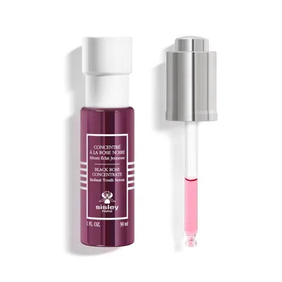 Sisley Paris Black Rose Concentrate Radiant Youth Serum In Purple