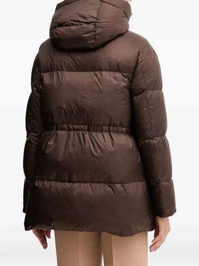 Blauer Hooded Puffer Jacket In Multi
