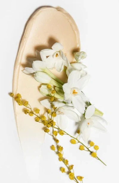 Chantecaille Gold Recovery Mask 50ml In Gold