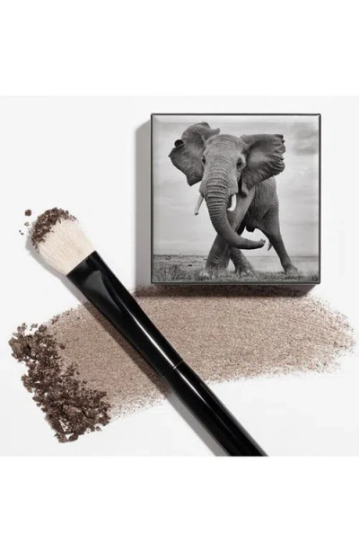 Chantecaille Shade And Sweep Eye Brush In Black