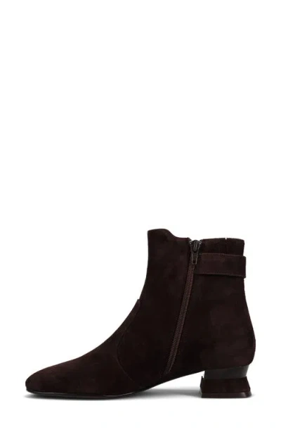 Vaneli Pierot Bootie In Brown