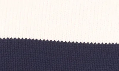 Cece Stripe Roll Neck Sweater In Multi