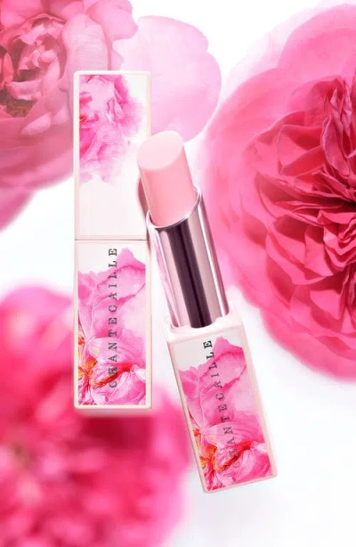 Chantecaille Rose De Mai Lip Balm In Pink