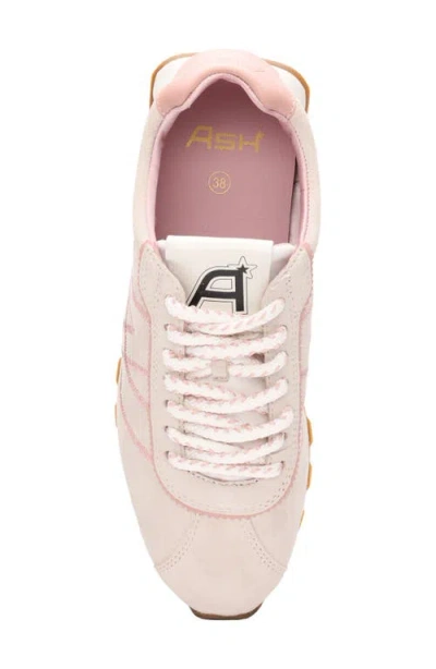 Ash Killer Sneaker In Multi