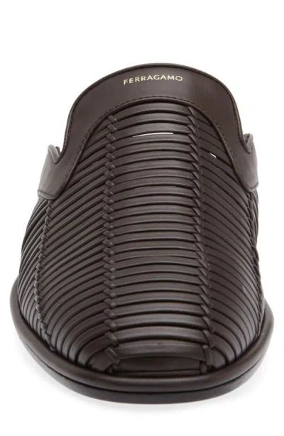 Ferragamo Texas Mule In Brown