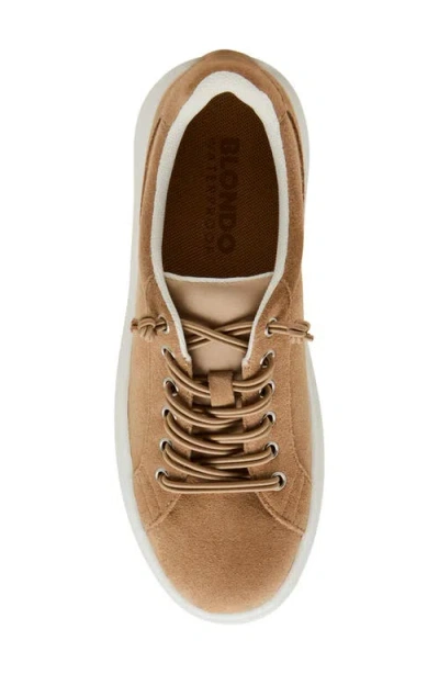 Blondo Greer Waterproof Platform Sneaker In Brown