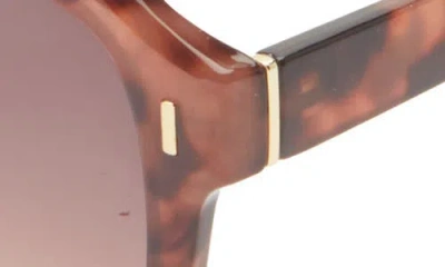 Bp. Gradient Square Sunglasses In Brown