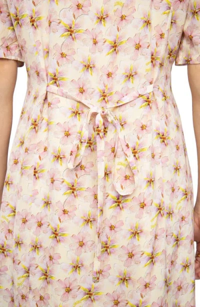 Zadig & Voltaire Womens Pear Rodalas Floral-print Woven Mini Dress In Multi