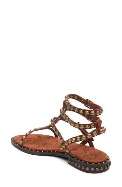 Ash Play Studded-strap Sandals In Brown