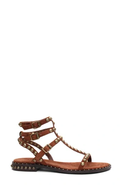 Ash Play Studded-strap Sandals In Brown