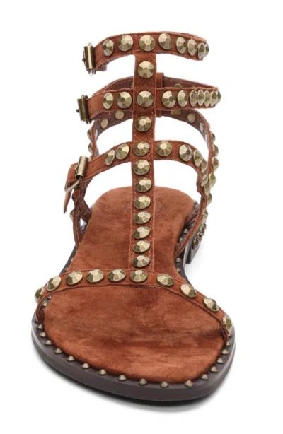 Ash Play Studded-strap Sandals In Brown
