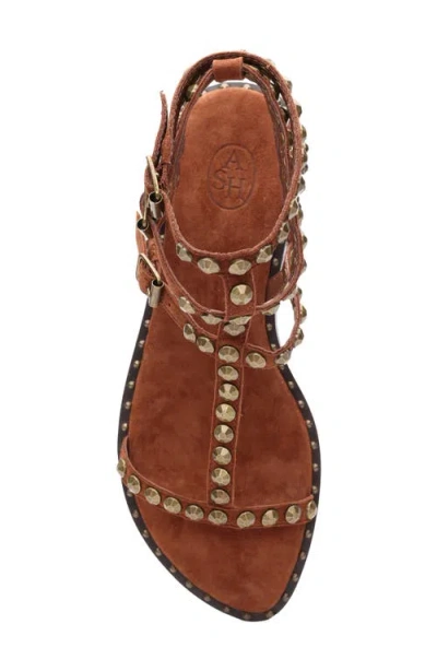 Ash Play Studded-strap Sandals In Brown