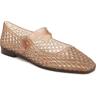 Sam Edelman Michaela Jelly Flats Transparent Brown In Brown