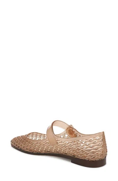 Sam Edelman Michaela Jelly Flats Transparent Brown In Brown