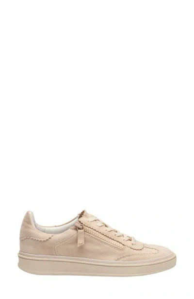 Johnston & Murphy Ashley Side Zip Sneaker In Neutral
