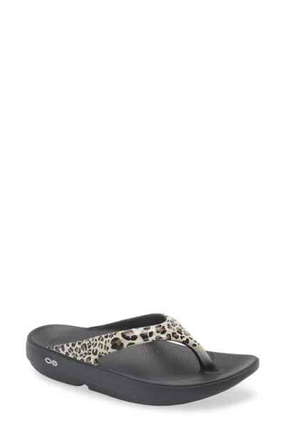 Oofos Oolala Flip Flop In Neutral
