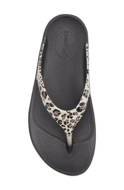 Oofos Oolala Flip Flop In Neutral