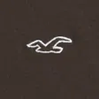 Hollister Icon Logo Slim Fit Crew Neck T-shirt In Brown
