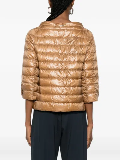 Herno Quilted Jacket In Multi